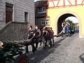 Maibaum 2010